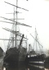 Tall ship, in the Transport - Shipping gallery