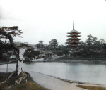 Sarusawa Pond at Nara